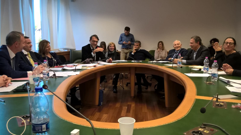 audizione_in_commissione_cultura